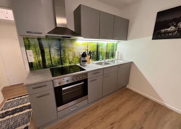 Apartman Modernes 4er In Skilift-naehe Zell am See