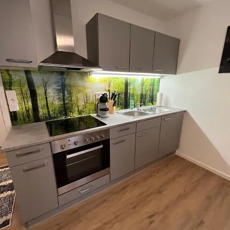 Appartamento Modernes 4er In Skilift-naehe Zell am See